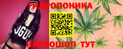 a pvp Аргун