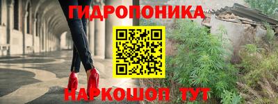 a pvp Аргун