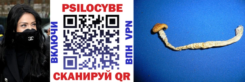 Псилоцибиновые грибы мухоморы  Верхний Уфалей 