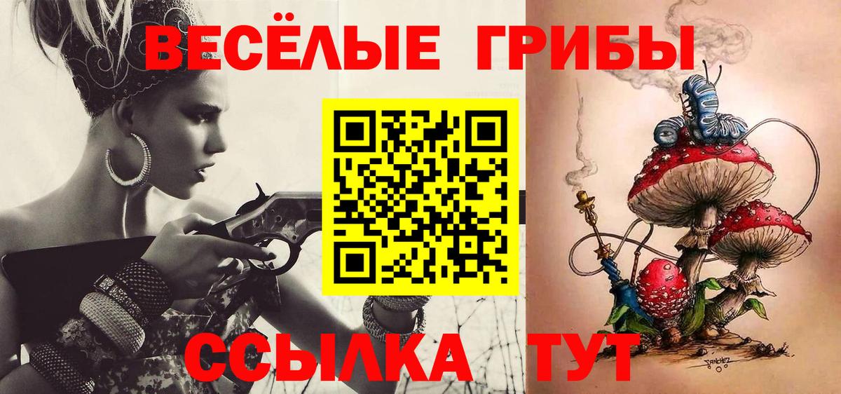 Псилоцибиновые грибы мицелий Верхний Уфалей