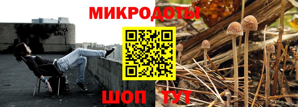 Верхний Уфалей  Галлюциногенные грибы Psilocybine cubensis  купить закладку  Псилоцибиновые грибы MAGIC MUSHROOMS  Вход с VPN 